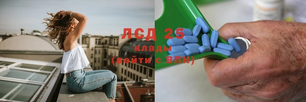 крисы Алексин