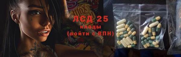 хмурый Алзамай