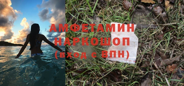 хмурый Алзамай