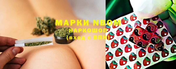 крисы Алексин