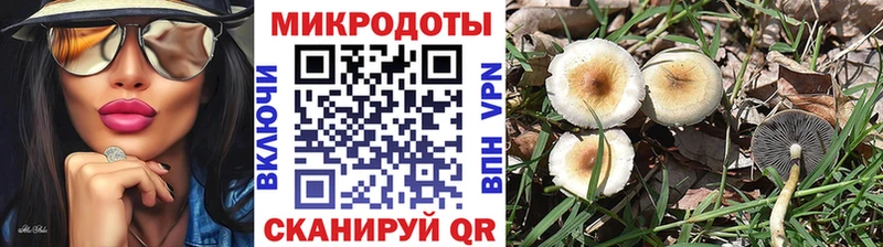 Псилоцибиновые грибы Cubensis  Тулун 