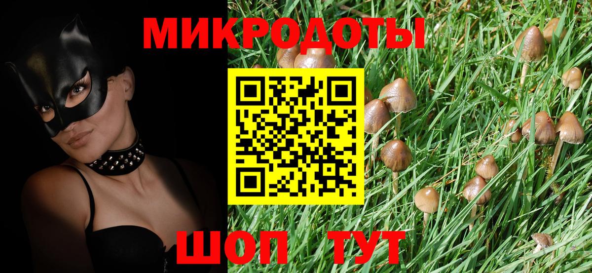 Псилоцибиновые грибы MAGIC MUSHROOMS  Вход с VPN  Тулун 