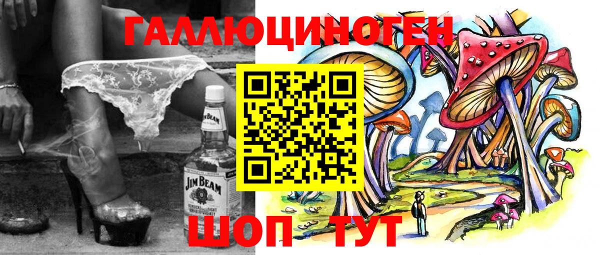 Псилоцибиновые грибы Psilocybe Тулун