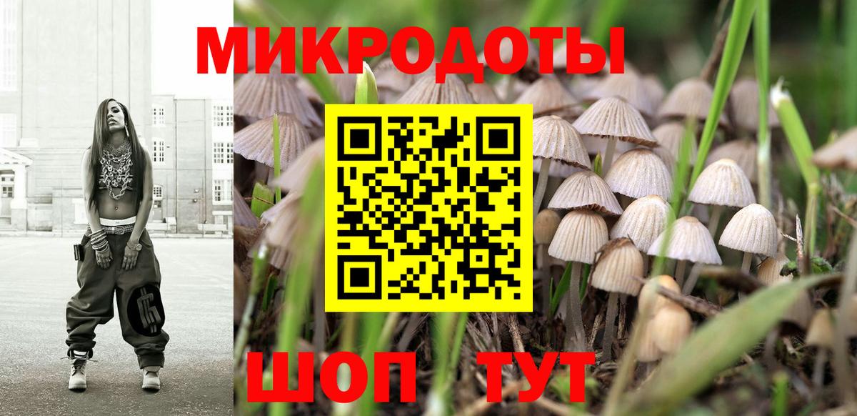 Галлюциногенные грибы Psilocybine cubensis  Псилоцибиновые грибы мухоморы  Тулун 