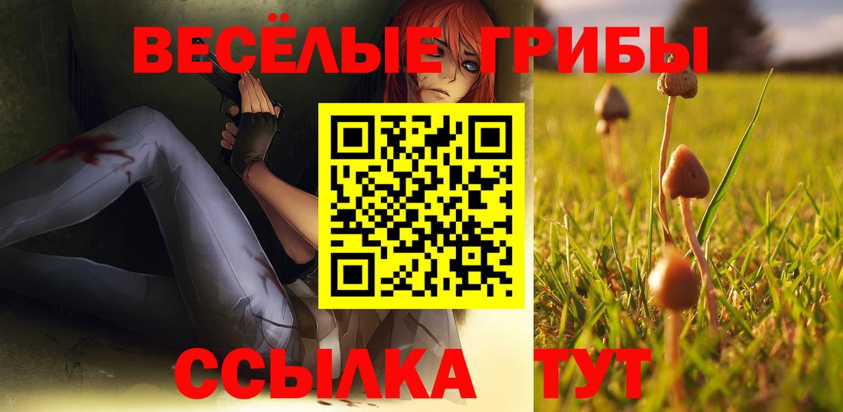 Псилоцибиновые грибы Magic Shrooms Тулун